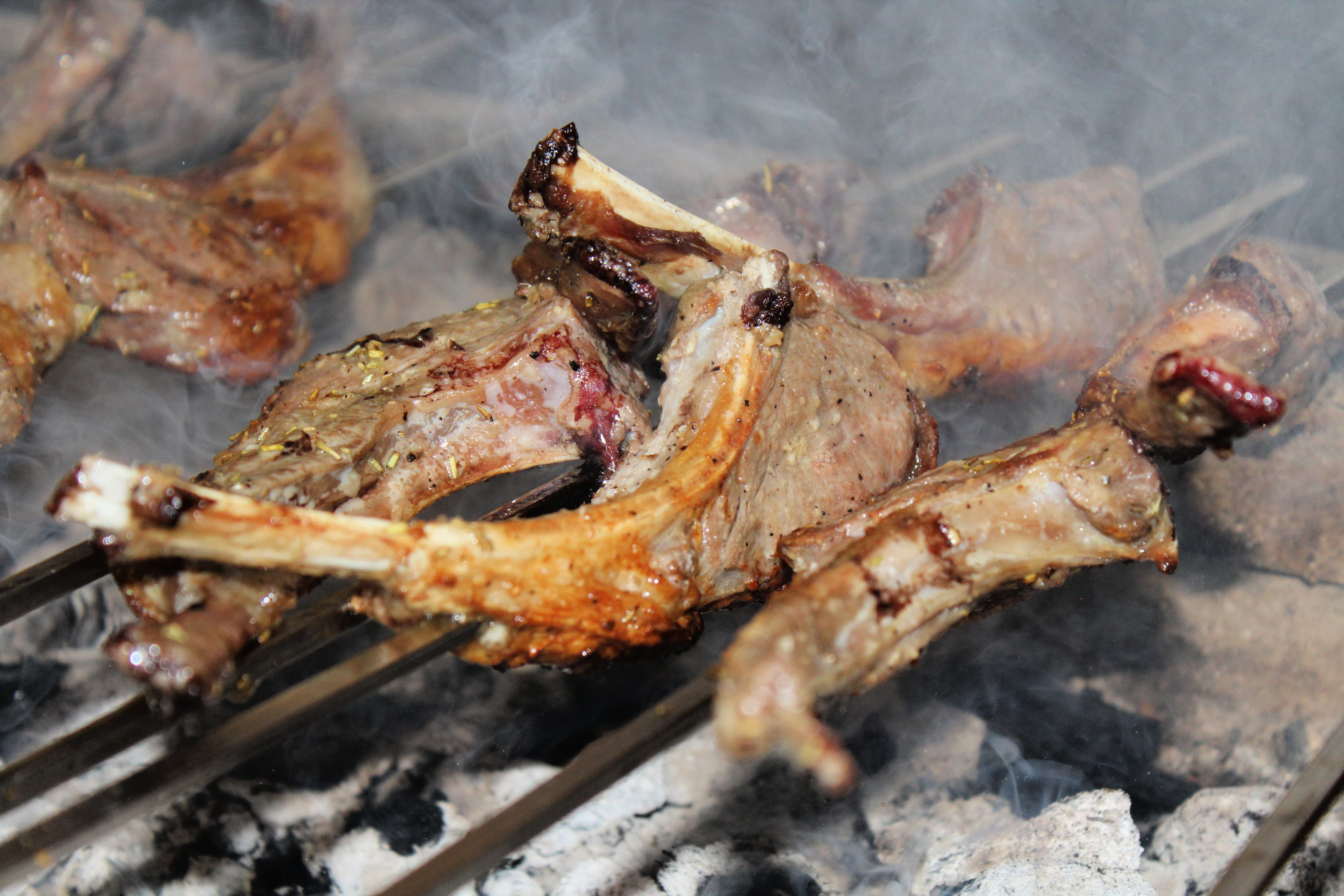 Sidon's Guide to Charcoal Grilling